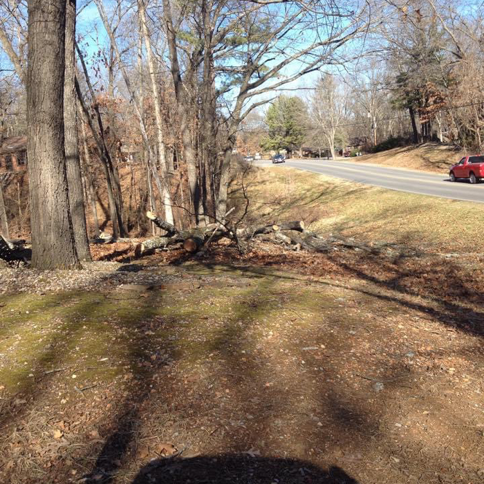Additional Photos