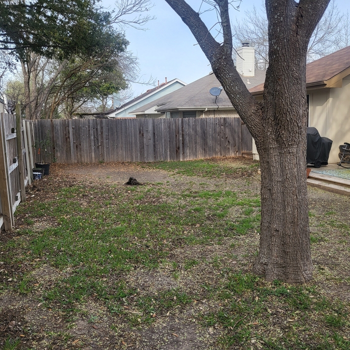 Landscaping Project