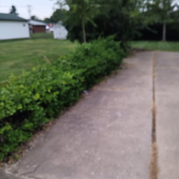 Additional Photos