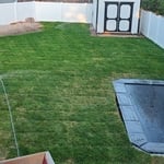 sod installation