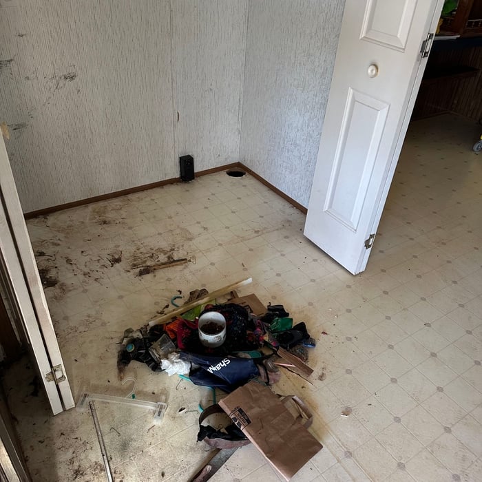Housecleaning Project