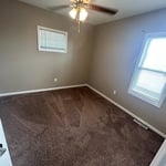 Painting Walls Trim Doors