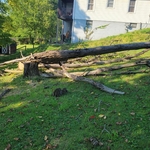 Ash Removal
