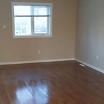 Floor buff and shine