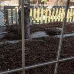 Outside cleanup