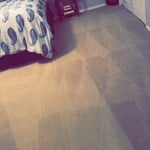 Vacuum Lines Matter