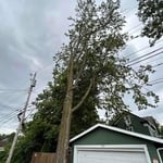 Large removal in limited space over electric and garage