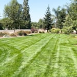 Beautiful mowing from Snippers Lawn & Yard.