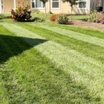 Weekly Mowing From Snippers Lawn & Yard.