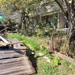 After teardown, before yard cleanup