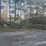 Tree Service Project