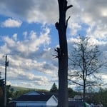 Tree Service Project