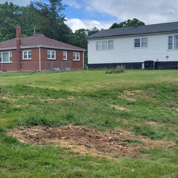 Tree Service Project
