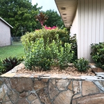 Landscaping Project