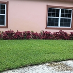 Landscaping Project