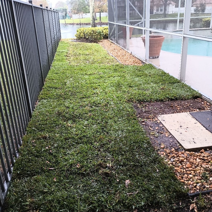 Landscaping Project