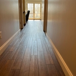 Carpet, Lvp, Hardwood, Sheet Vinyl