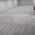 Carpet basement