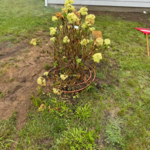 Additional Photos