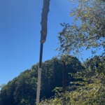 No access