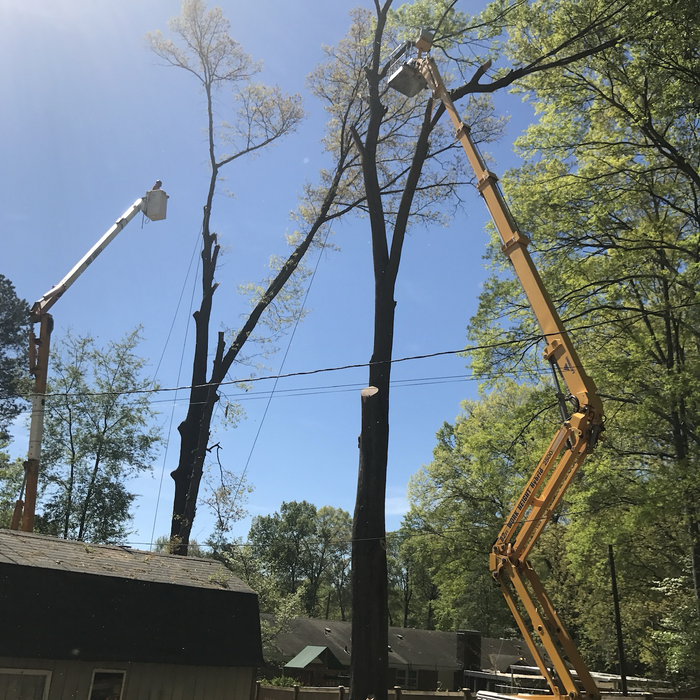 Additional Photos