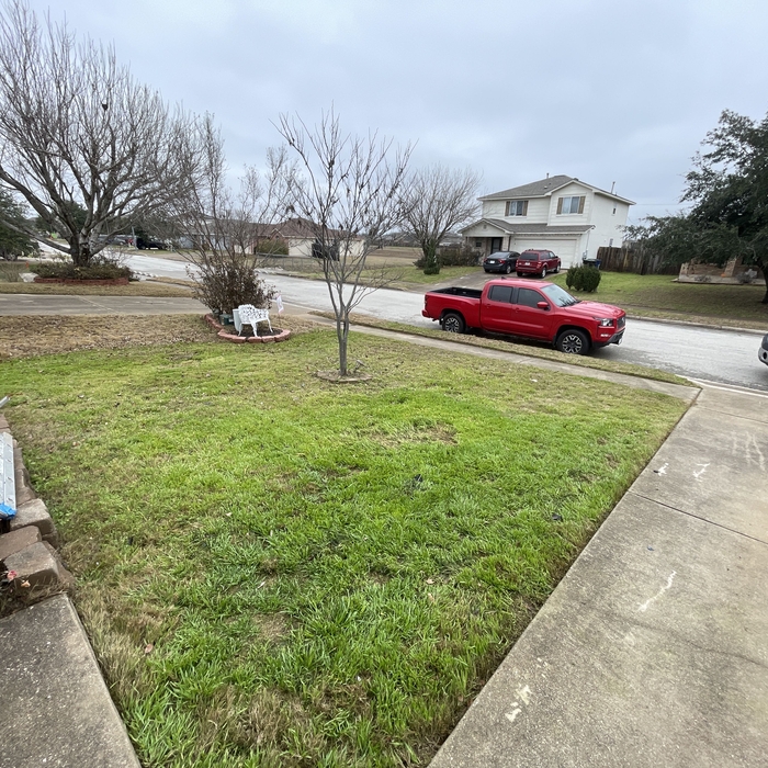 Landscaping Project