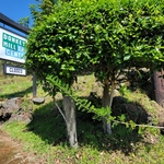 Donkey Mill Art Center