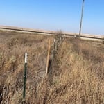 4 wire barb wire