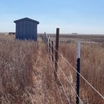 4 wire barb wire