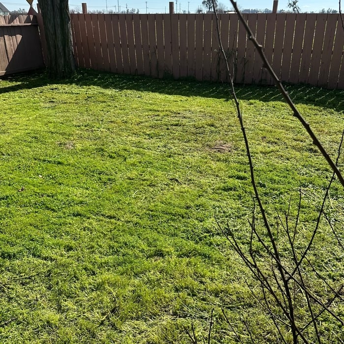Large Overgrowth