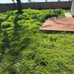 Large Overgrowth