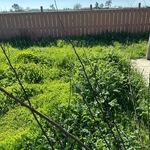 Large Overgrowth