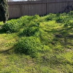 Large Overgrowth