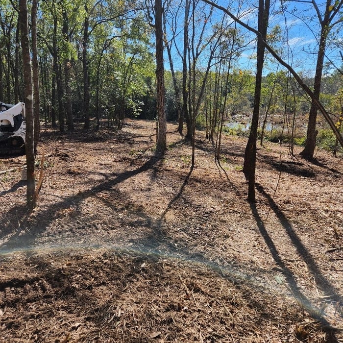 Additional Photos
