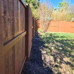 Fence Paint