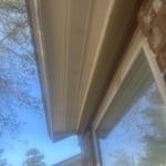 Rodent trapping and sealing of entry points