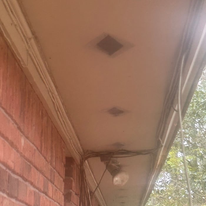 Raccoon trapping & Exclusion