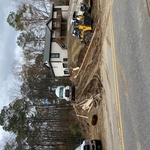 Driveways - Concrete Project