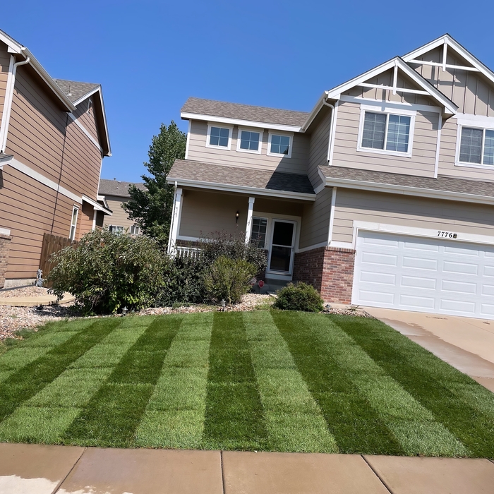 Landscaping