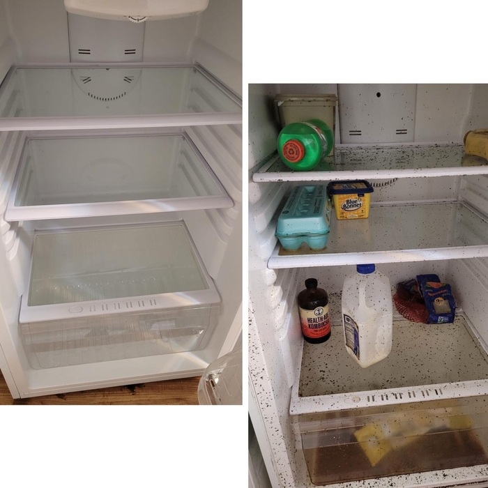 before and after one of our cleanings