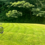 Mowing and lawn care
