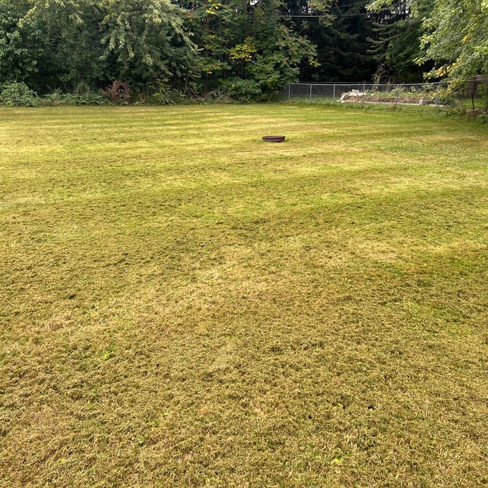 Mowing and lawn care