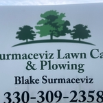 Mowing and lawn care