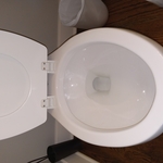 Toilet after cleaning