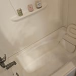 Cleanings/Organizations