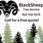 BlackSheep Tree Service