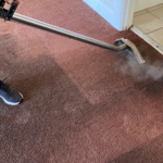 Apply stain remover, steam clean with a high quality rinse agent.