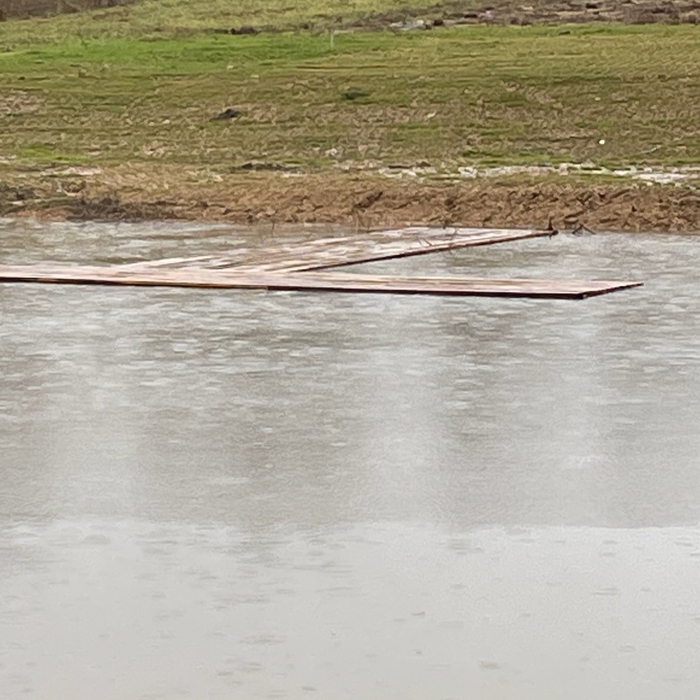 Pond/lake build