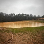 Pond/lake build