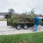 Storm Cleanup